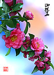 春天的花系列