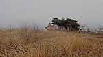 松树亭