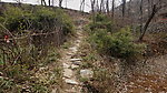 上山的小路