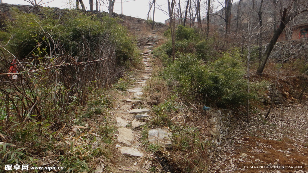 上山的小路