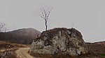 突兀山独树