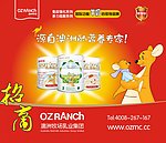 奶粉招商