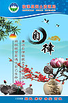自律