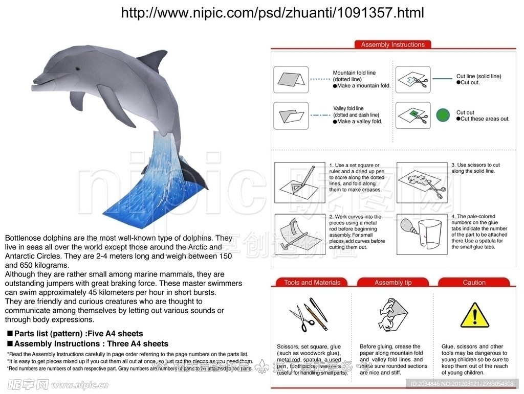 海豚纸模