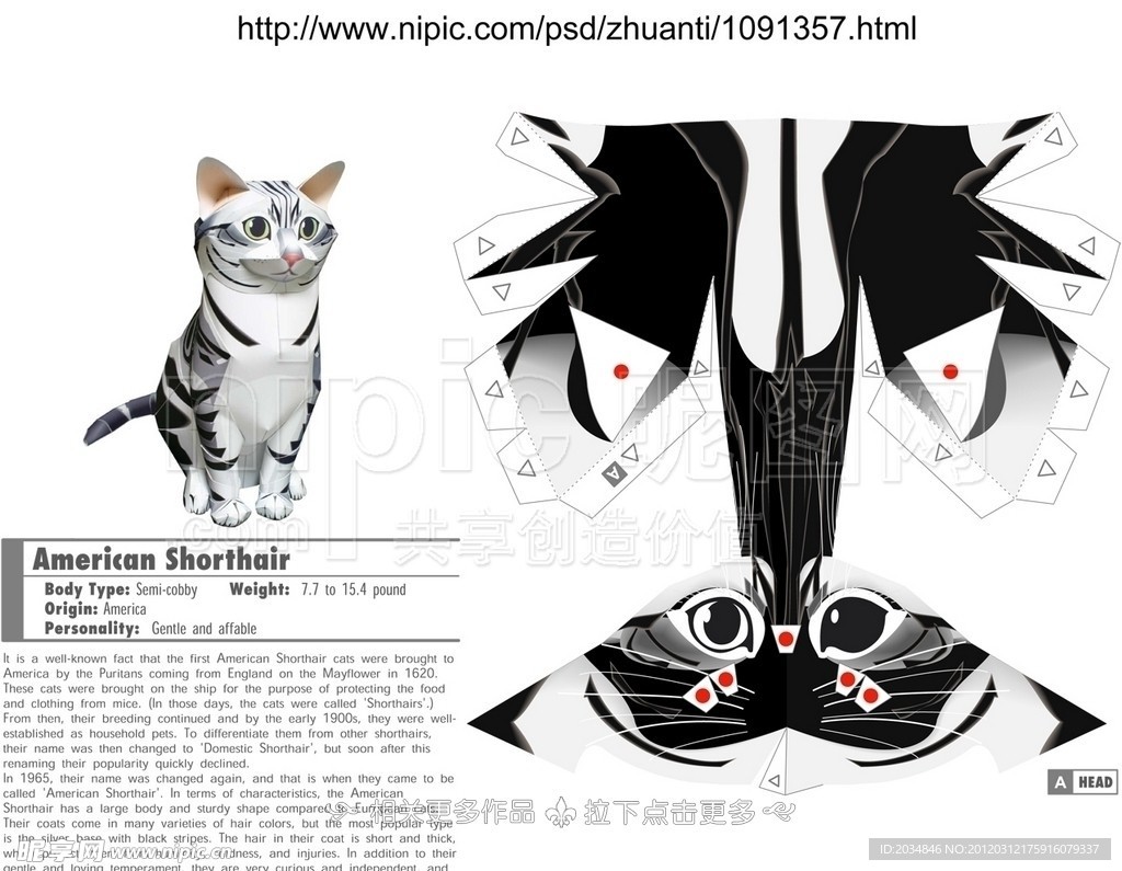 猫纸模