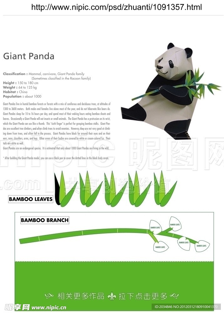 熊猫纸模