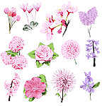 手绘鲜花矢量