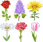 手绘鲜花矢量