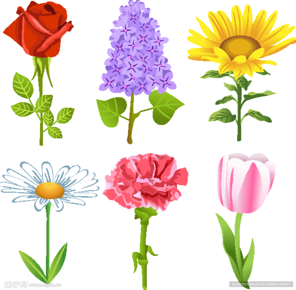 手绘鲜花矢量