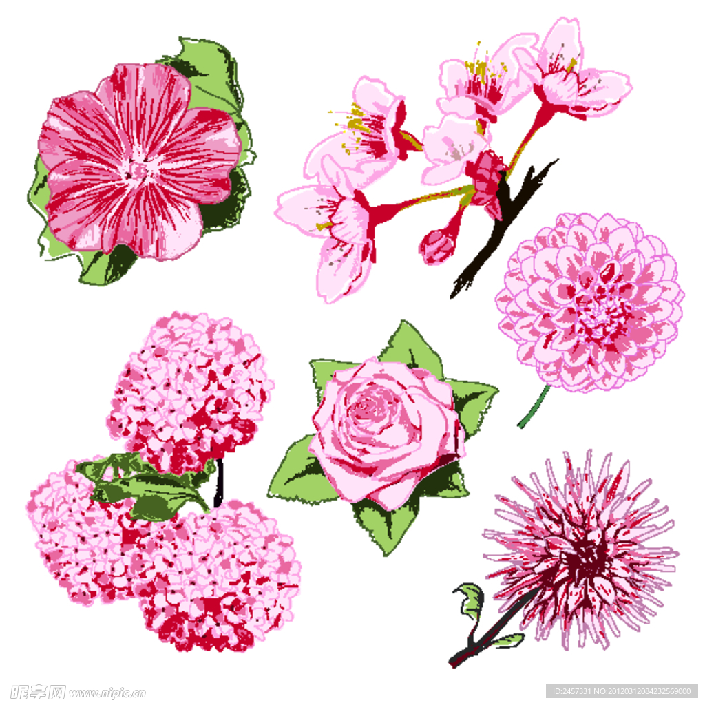 手绘鲜花矢量