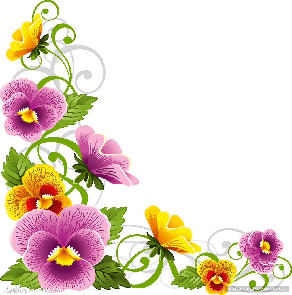 梦幻蝴蝶花