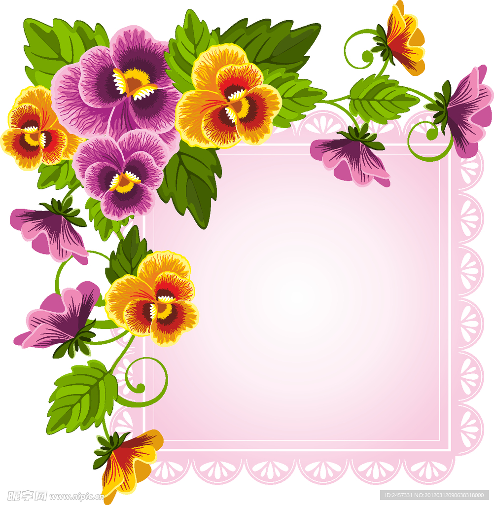 梦幻蝴蝶花