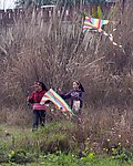 芦苇风筝少女
