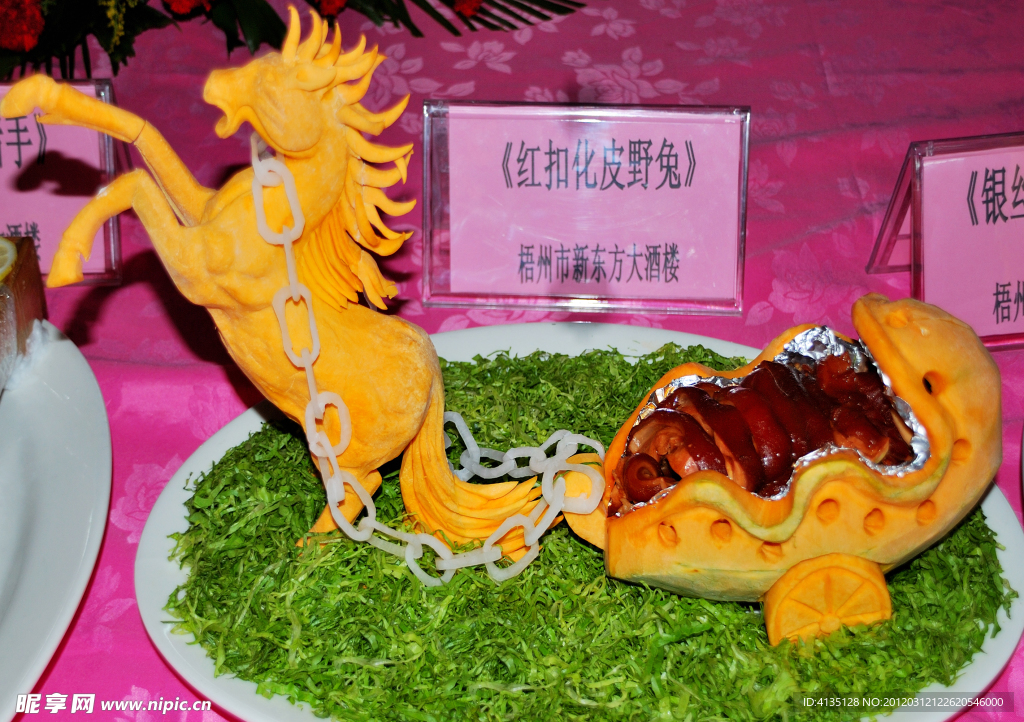 红扣化皮野兔