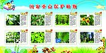 国家重点保护植物