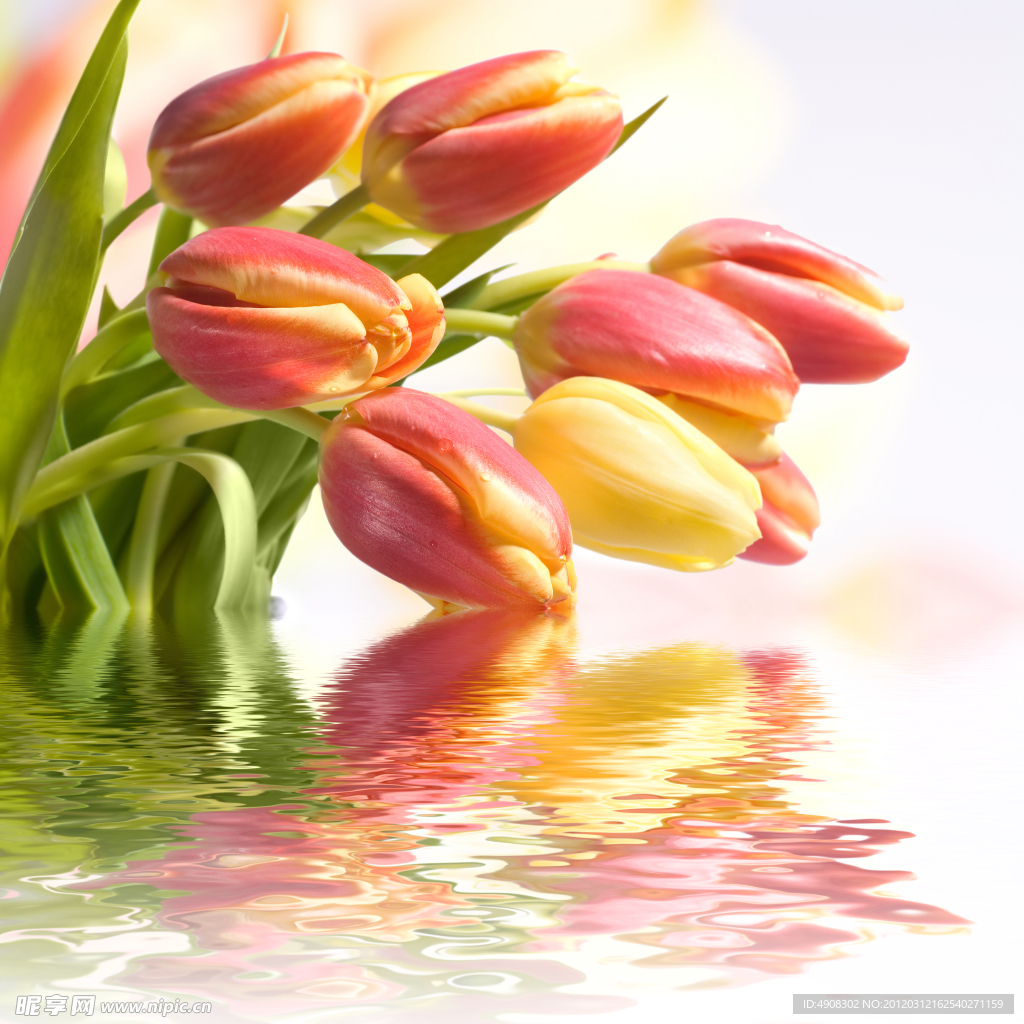 鲜花