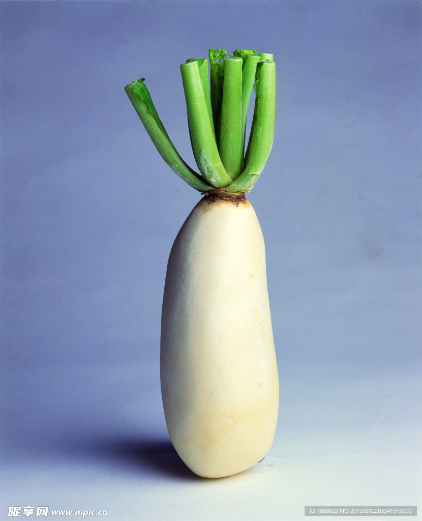 新鲜蔬菜写真