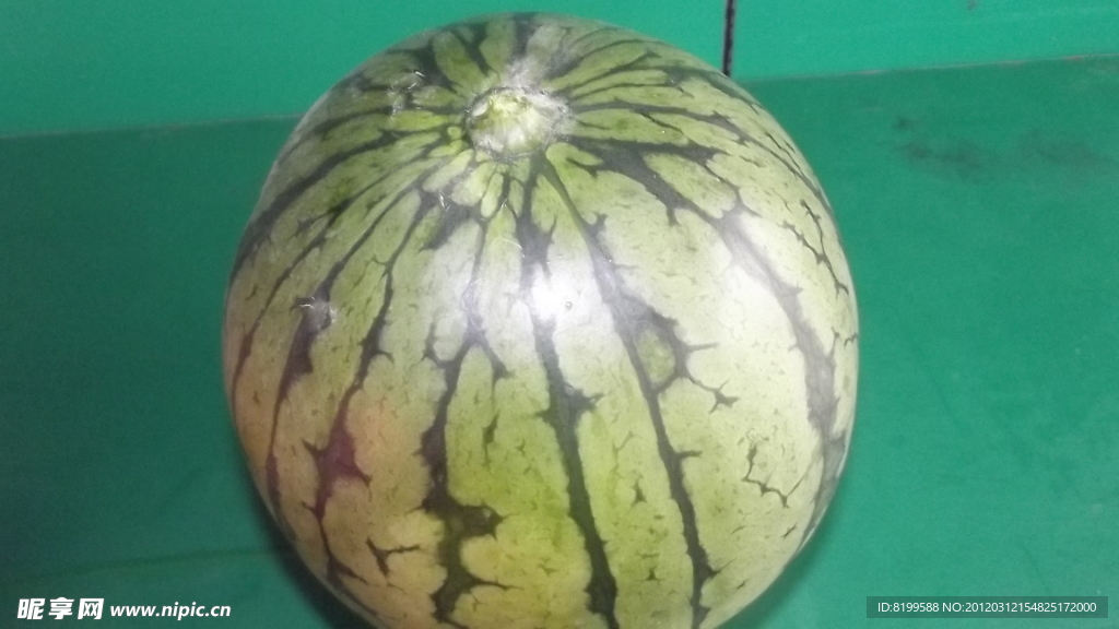 西瓜 水果