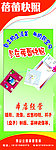 蓓蕾快照