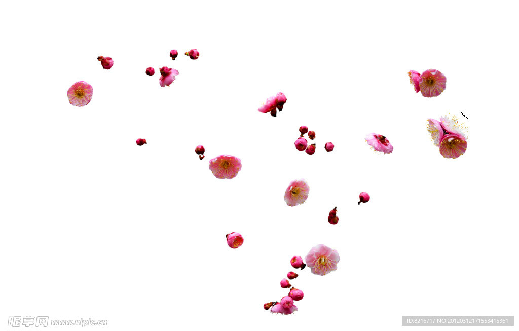 梅花