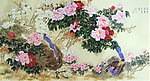 绶带牡丹