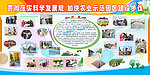 科学发展观