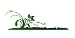 小草