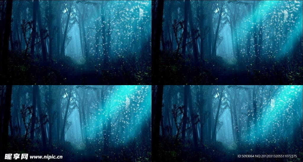 森林光线动态视频素材
