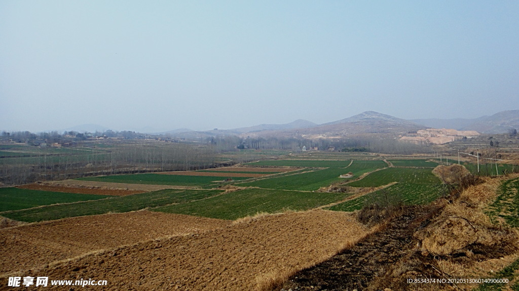 山下的田野