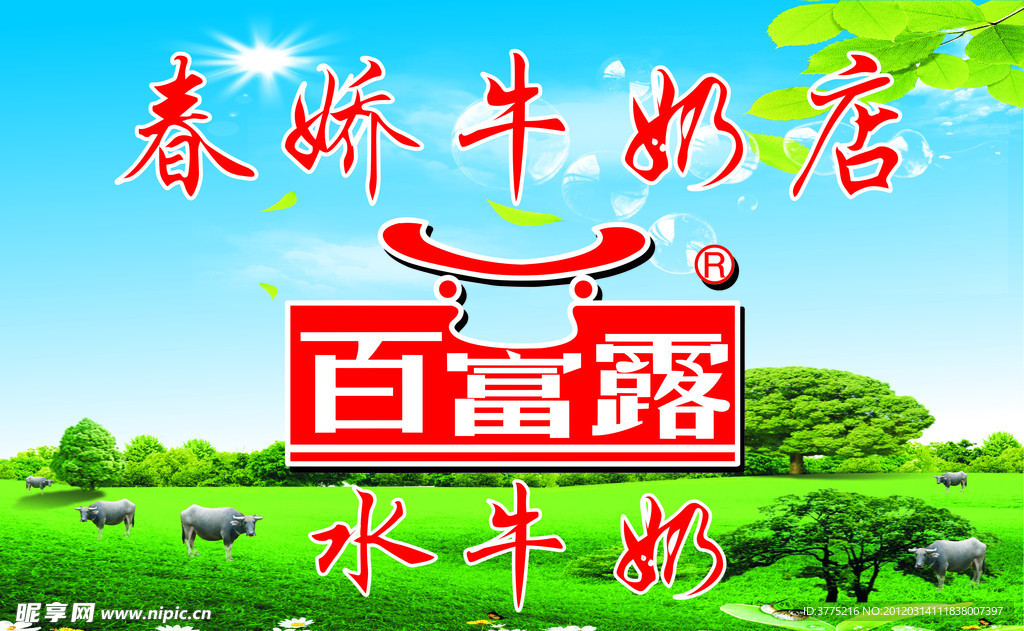 春娇牛奶