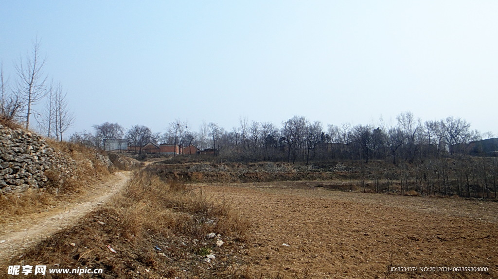 老树村