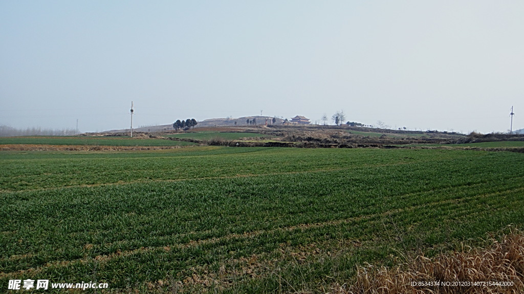 田野 山岗