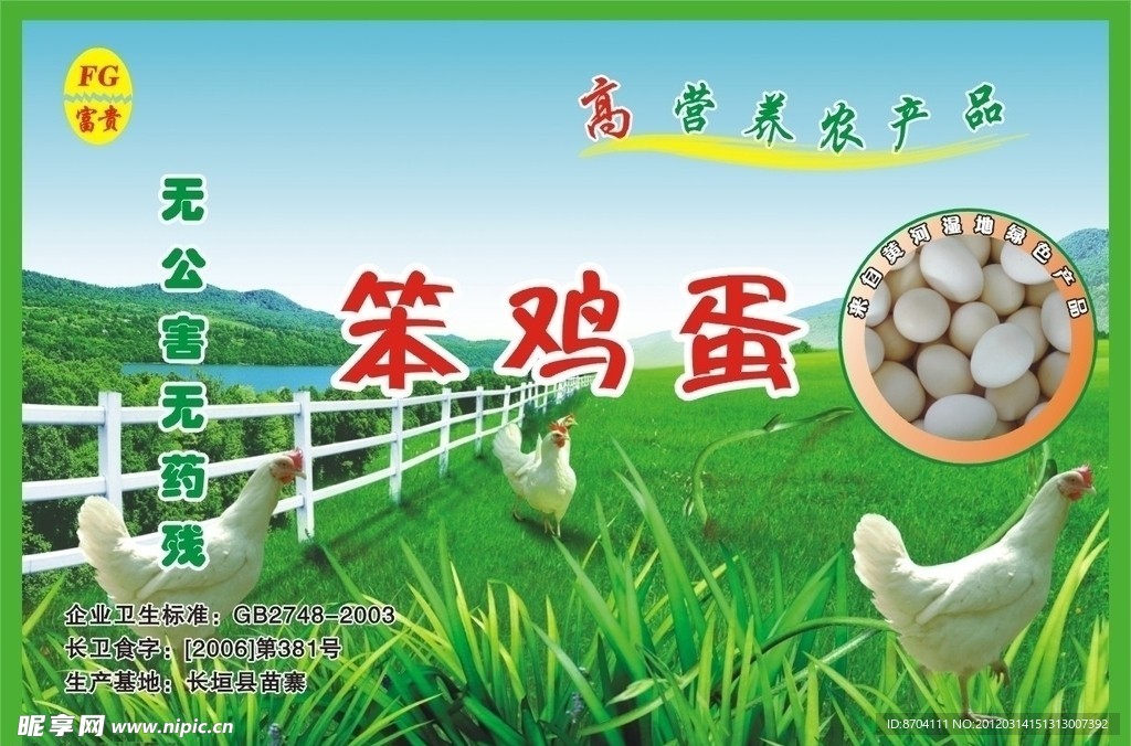 笨鸡蛋