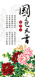 国色天香牡丹