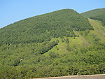 远山