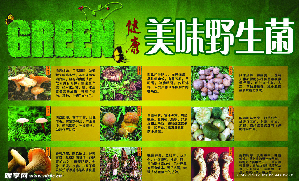 美味野生菌