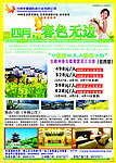 春天旅游
