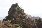 武当的山