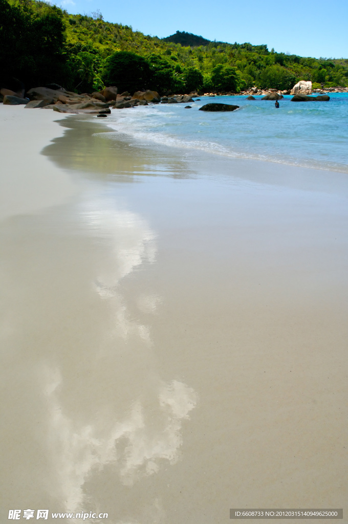 沙滩特写