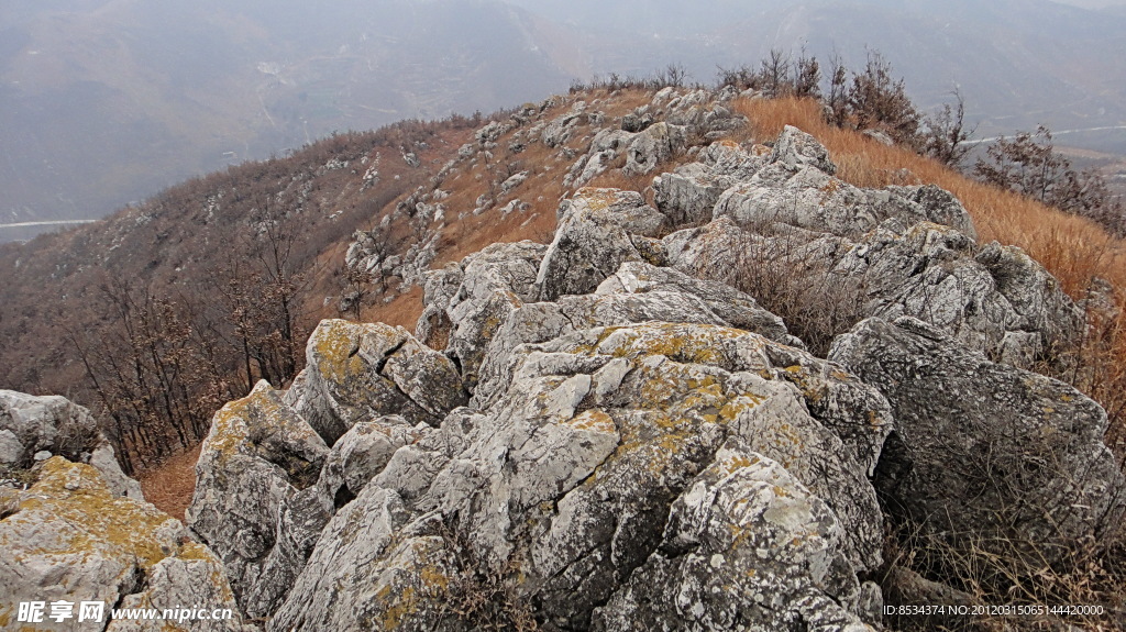 嵯峨 山顶