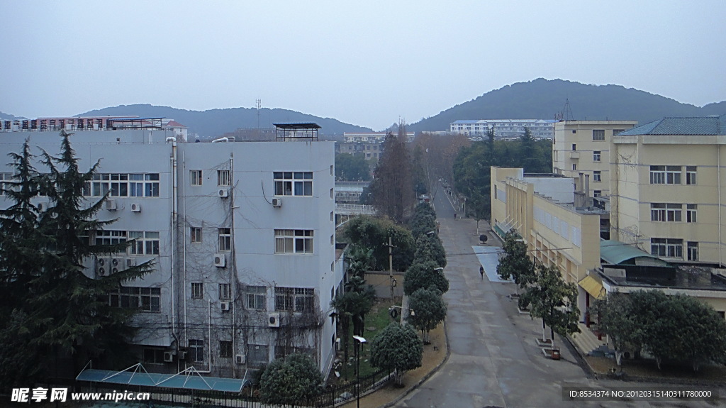 上山的路