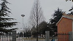 围墙 杉树
