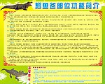 鳄鱼海报