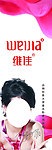 维佳挂件