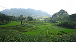 家门口的风景
