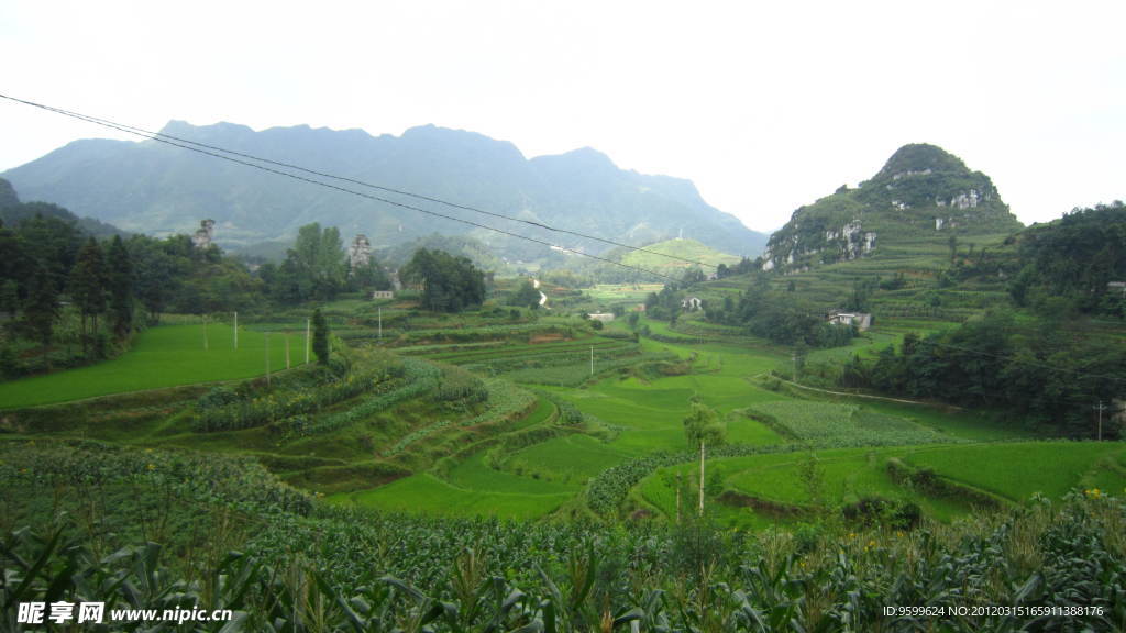 家门口的风景