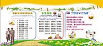 老年养生保健