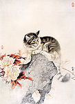 可爱的小猫