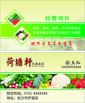 农家乐名片
