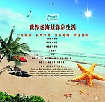 海边 房地产